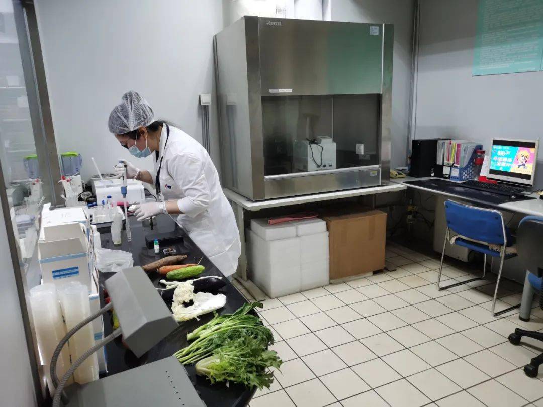桃山食品检测实验室装修方案